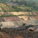 Cameroun : plus de 8 % des terres sous contrôle des pays étrangers