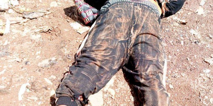 Amanda Bertrand's body found in Bamenda
