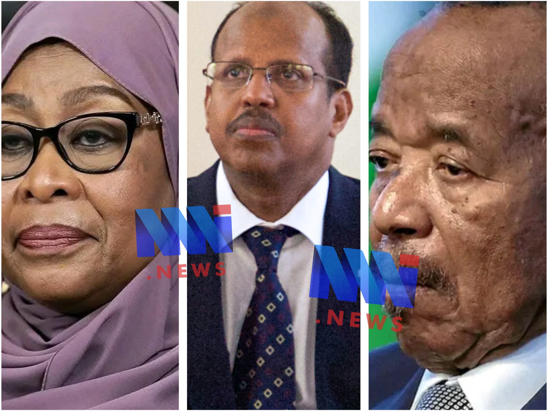 l’Union africaine