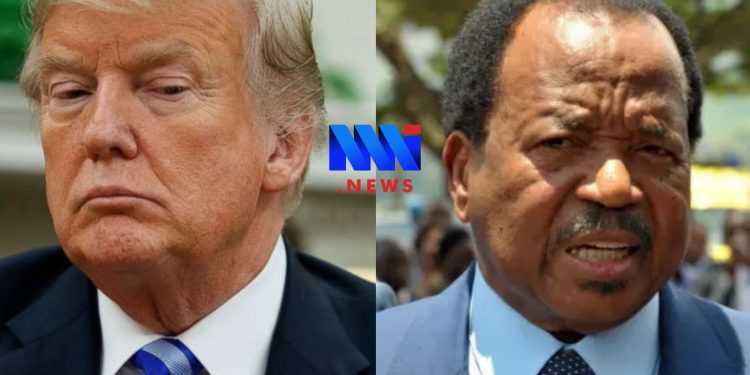 Donald Trump and Paul Biya (1)