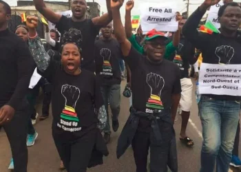 Stand up for Cameroon