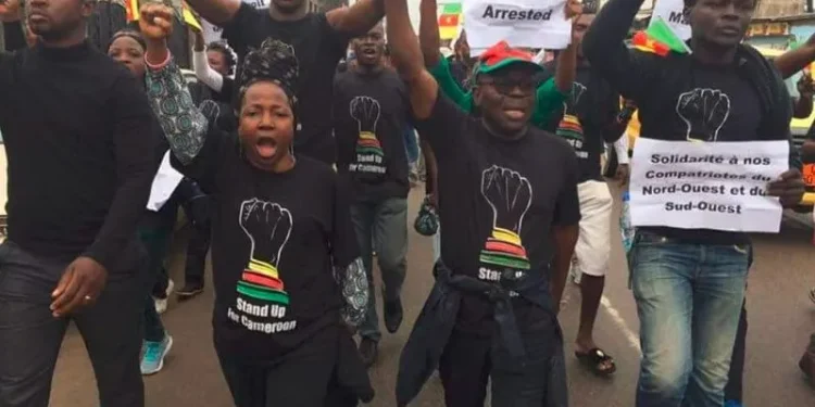 Stand up for Cameroon