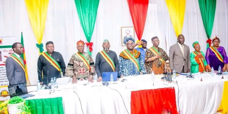 Elected regional councilors with no power
