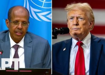 US-Africa partnership?