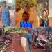 Ndzerem-Nyam massacre - conflicting accounts