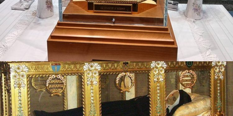 St. Bernadette to visit Cameroon