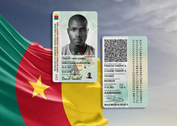 Cameroon national flag cloth fabric waving on beautiful grey sky Background.