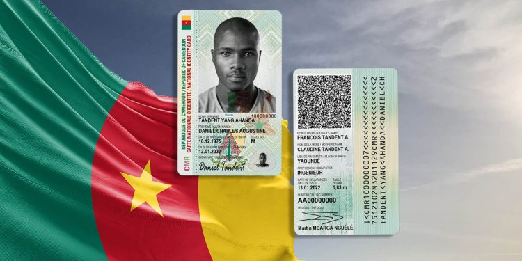 Cameroon national flag cloth fabric waving on beautiful grey sky Background.