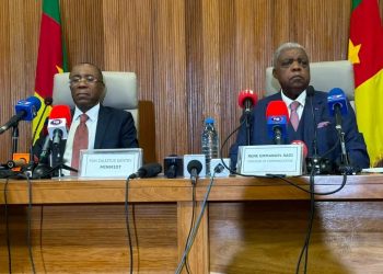 Cameroon Not Only African Country With Gold Discrepancies — Mines Minister