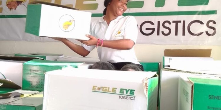 Eagle Eye Logistics - “We Deal With the Hassle Whilst You Relax.”