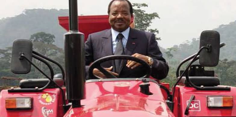 Agriculture d'exportation
