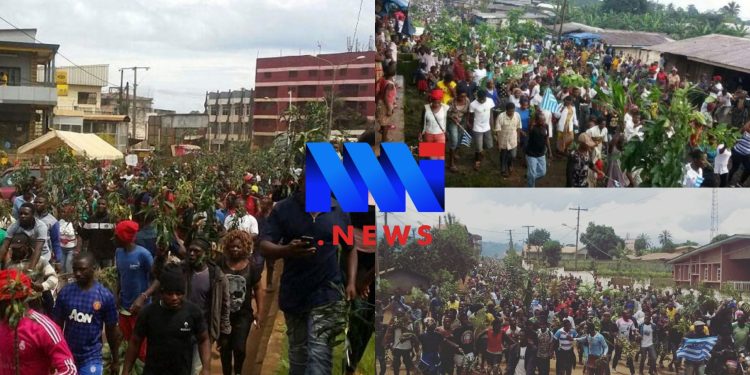 September 22, 2017, the day that changed the Anglophone crisis
