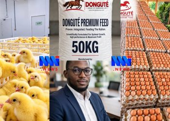 Donguté Group of Companies Ltd, a Limbe-based agribusiness, is seeking investors to expand its hatch