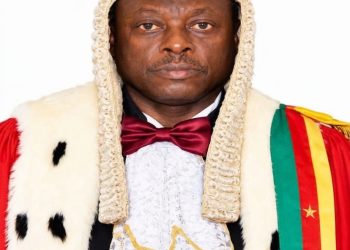 Rémy Nama - New president of Cameroon's Constitutional Council