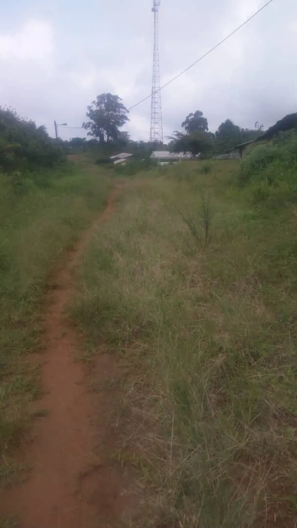 IMG 20200106 WA0089