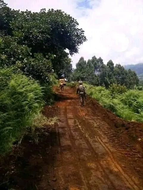 IMG 20200522 WA0025