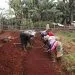 IMG 20200701 WA0104 1