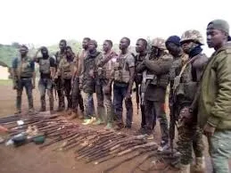Amba Fighters In Re Integration