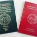 Cameroon Passport 1