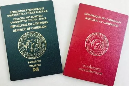 Cameroon Passport 1