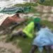 Point Blur Aug022020 143210