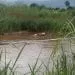IMG 20200929 WA0011
