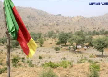 Les départements du Logone et Chari, du Mayo Sava et du Mayo Tsanaga