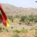 Les départements du Logone et Chari, du Mayo Sava et du Mayo Tsanaga