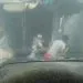 Protest Youths
