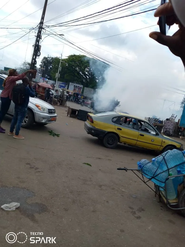 Protests Edited