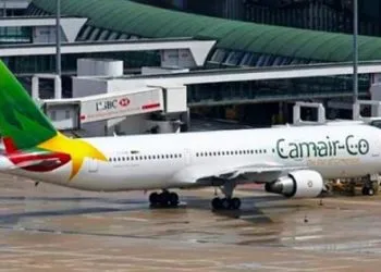 0806 14636 Le Cameroun Recherche Un Nouveau Dg Pour Le Transporteur Aerien Camair Co Le 7e En 9 Ans D Activites L