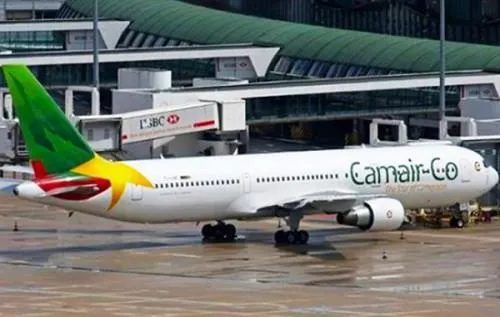 0806 14636 Le Cameroun Recherche Un Nouveau Dg Pour Le Transporteur Aerien Camair Co Le 7e En 9 Ans D Activites L