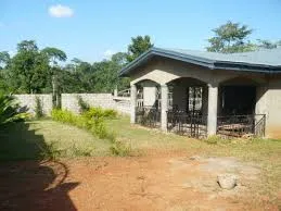 IMG 20201009 WA0044