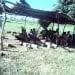 IMG 20201019 WA0002