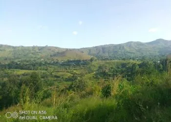 IMG 20201030 WA0076