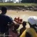 Maroua Le Mayo Kaliao 1