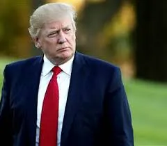 Donald Trump ruled to be ineligible for 2024 Presidency by Colorado Supreme Court
