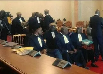 108822812 Lawyersdemforconstitutionalcouncilyesterday