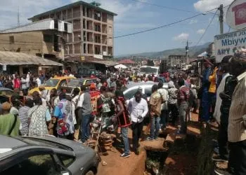 Crowds