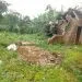 IMG 20201103 WA0027 1