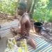 IMG 20201128 WA0034