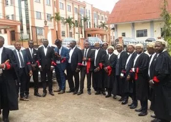 Southern Cameroons Lawyers