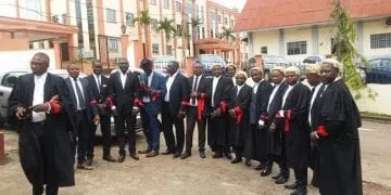 Southern Cameroons Lawyers