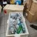 IMG 20201204 WA0004