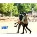 IMG 20201207 WA0046