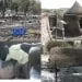 IMG 20201210 WA0018
