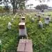 IMG 20201213 WA0111