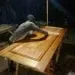 IMG 20201217 WA0214