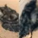 IMG 20201221 WA0041