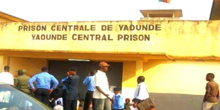 Kondengui 780x440 1